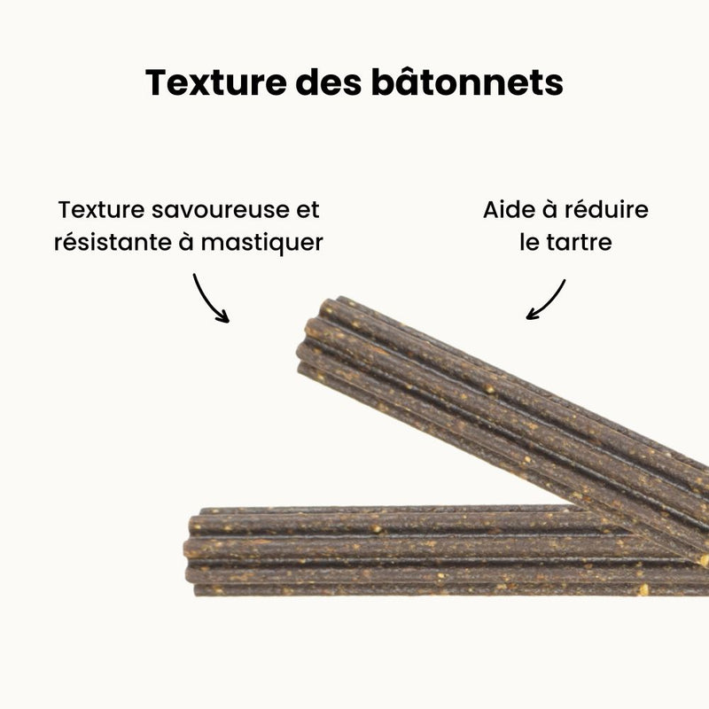 Bâtonnets Dentaires Hypoallergéniques