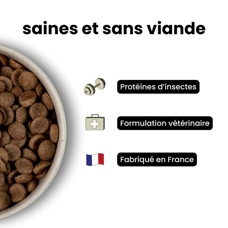 Croquettes Équilibre - Chiot Plus de 30 kg Adulte