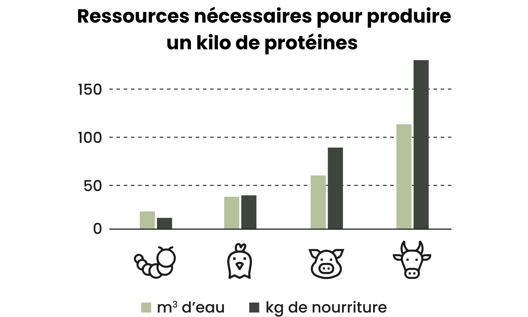 croquettes aux insectes peu polluantes et respectueuses de l'environnement Image