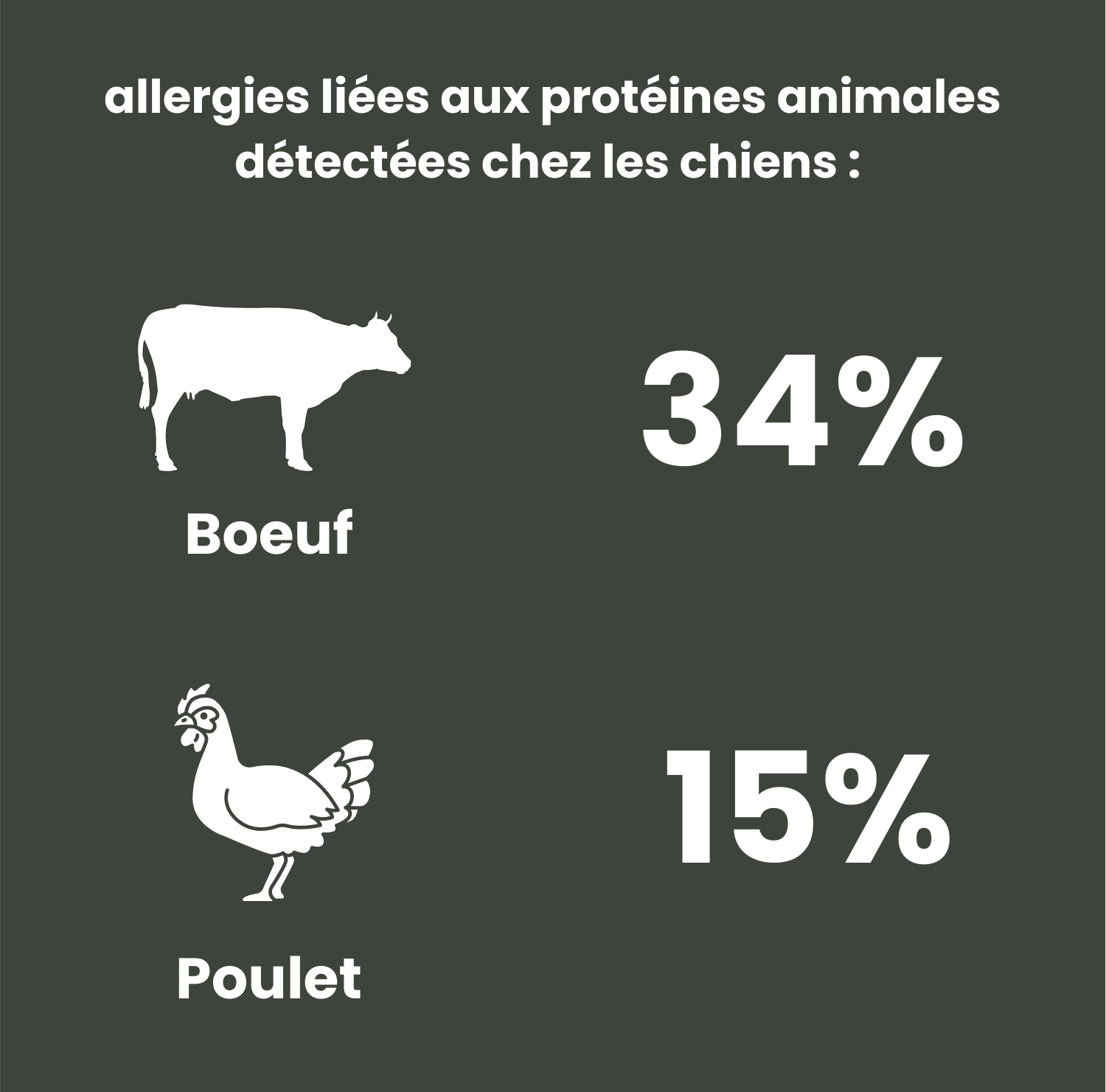 croquettes aux protéines d'insectes contre les allergies  Image