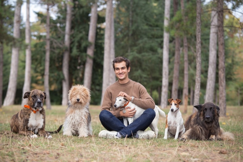 basile chien huile chanvre  Image
