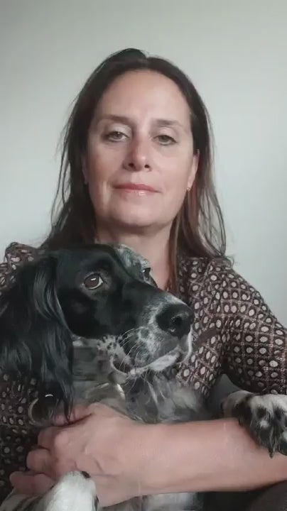 Vidéo