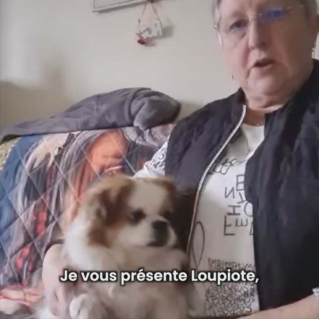 Croquettes Allergies - Chien Adulte Moins de 10 kg