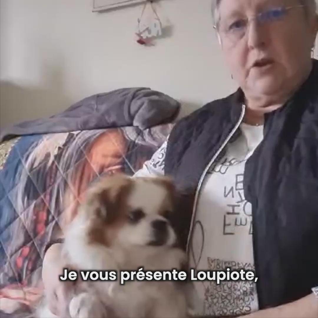 Croquettes Allergies - Chien Adulte Moins de 10 kg