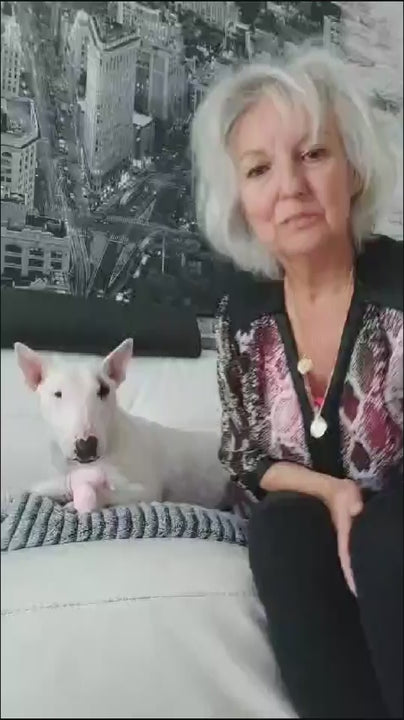 Vidéo