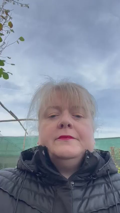 Vidéo