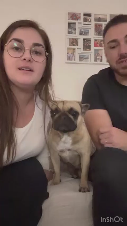 Vidéo