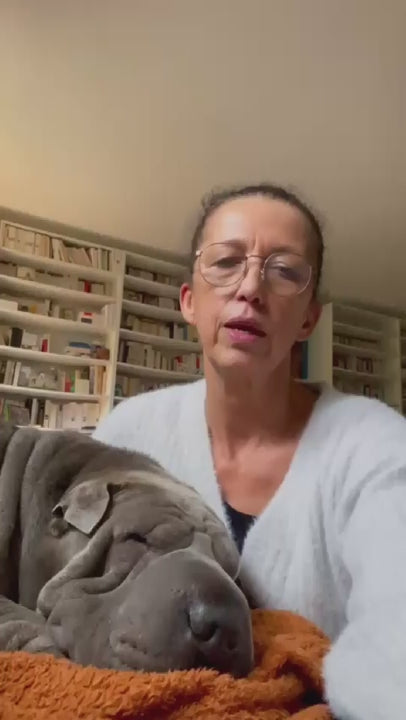 Vidéo