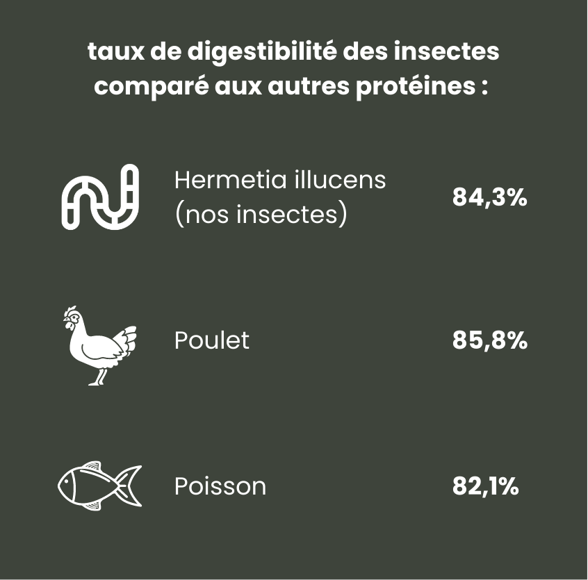 croquettes aux insectes pour les chiens à la digestion difficile 