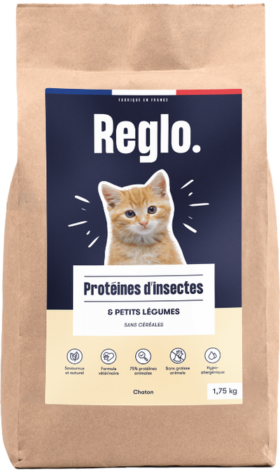 Croquettes aux insectes Réglo : une option durable pour nourrir votre chaton en préservant la planète et sa santé.